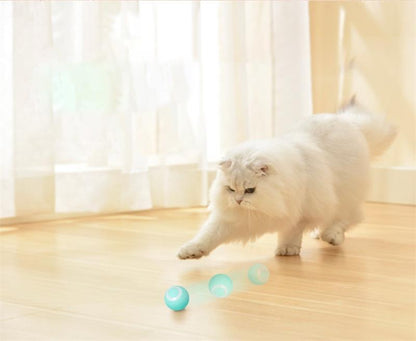 Kittyball Smart Ball